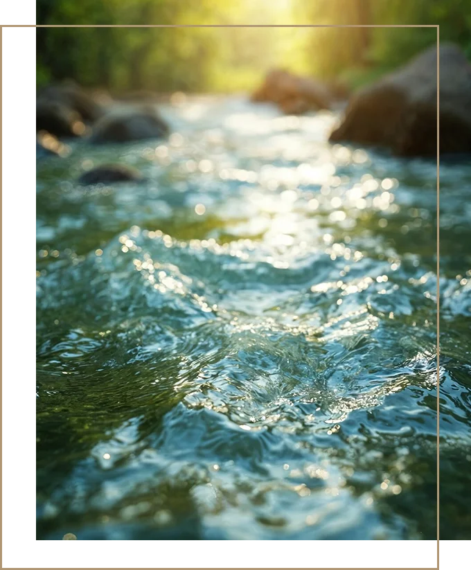 Hub de Cercetare pentru Conservarea naturii